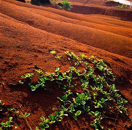 《巫师4》让众人期待 CDPR跻身欧洲最有价值公司之一